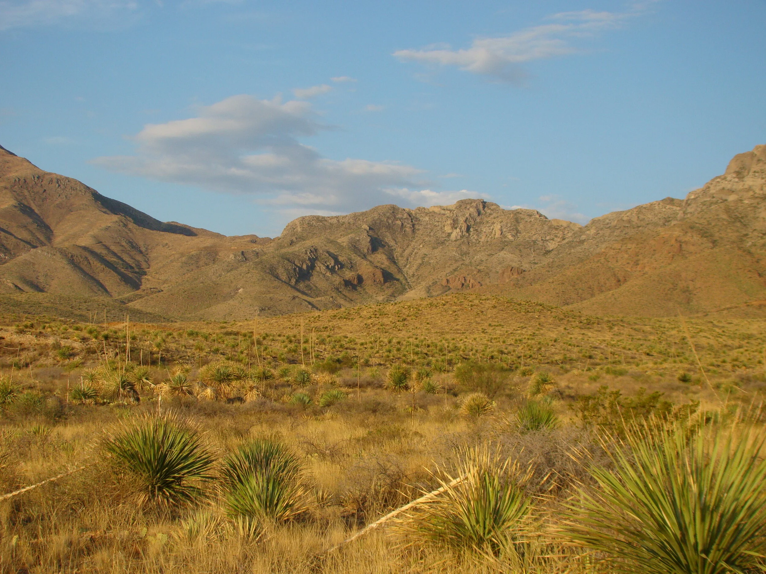View from the Sotol Trail