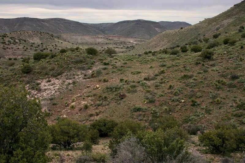 Sierra de Las Uvas by Patrick Alexander