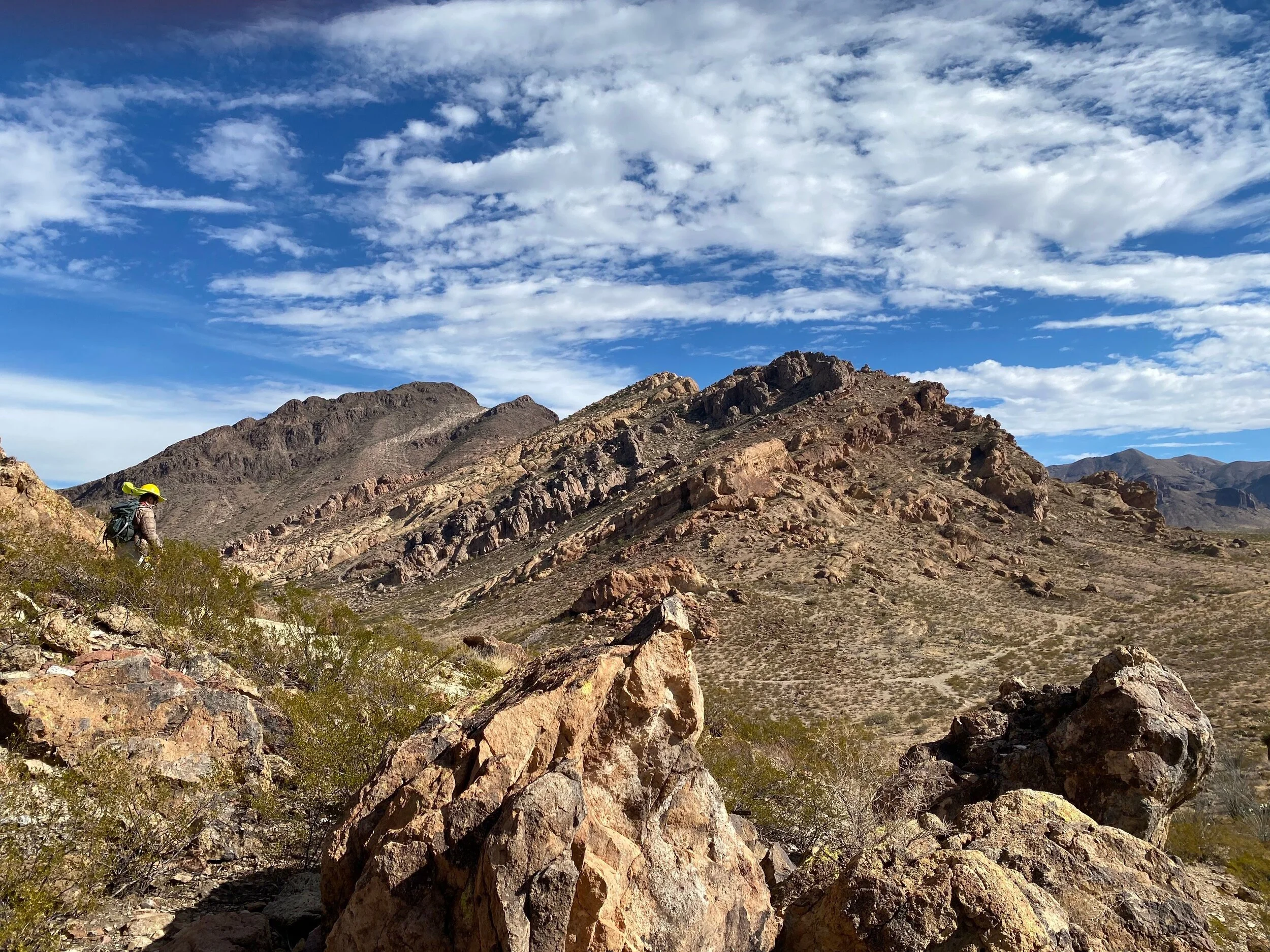 Pic by Imelda Miller