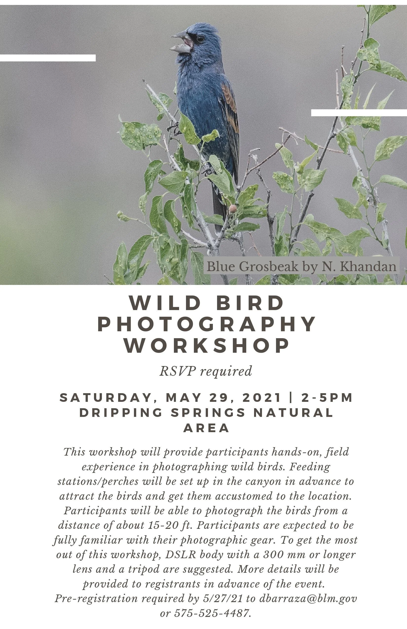 BLM Wildbird Photography.jpg