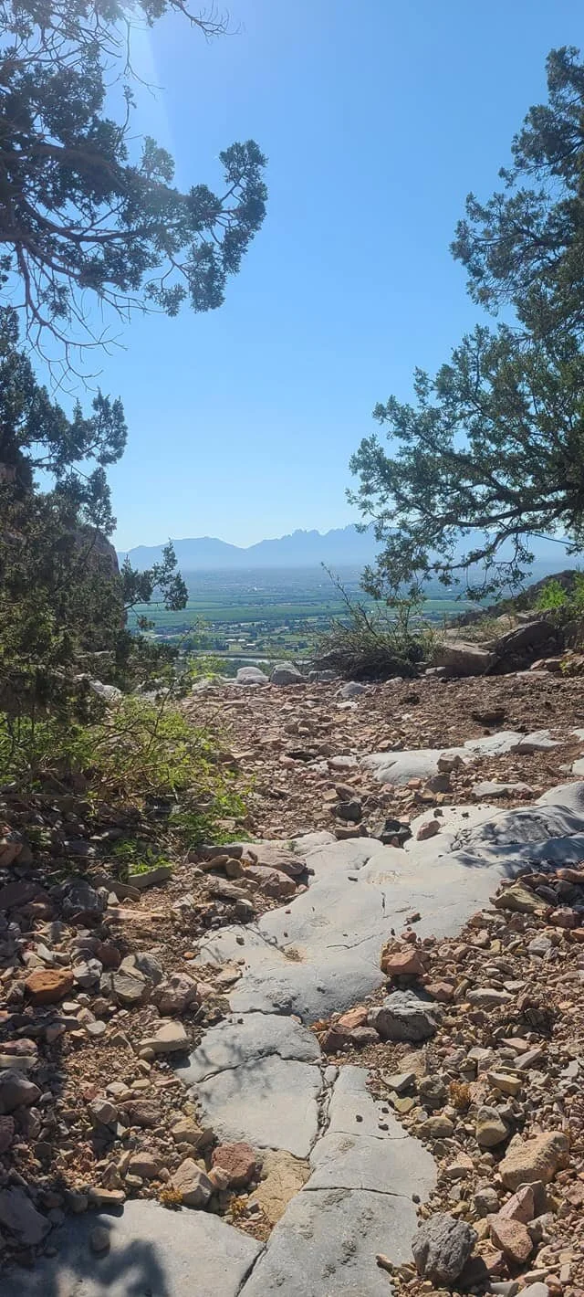 Robledo Mountains 2.jpg