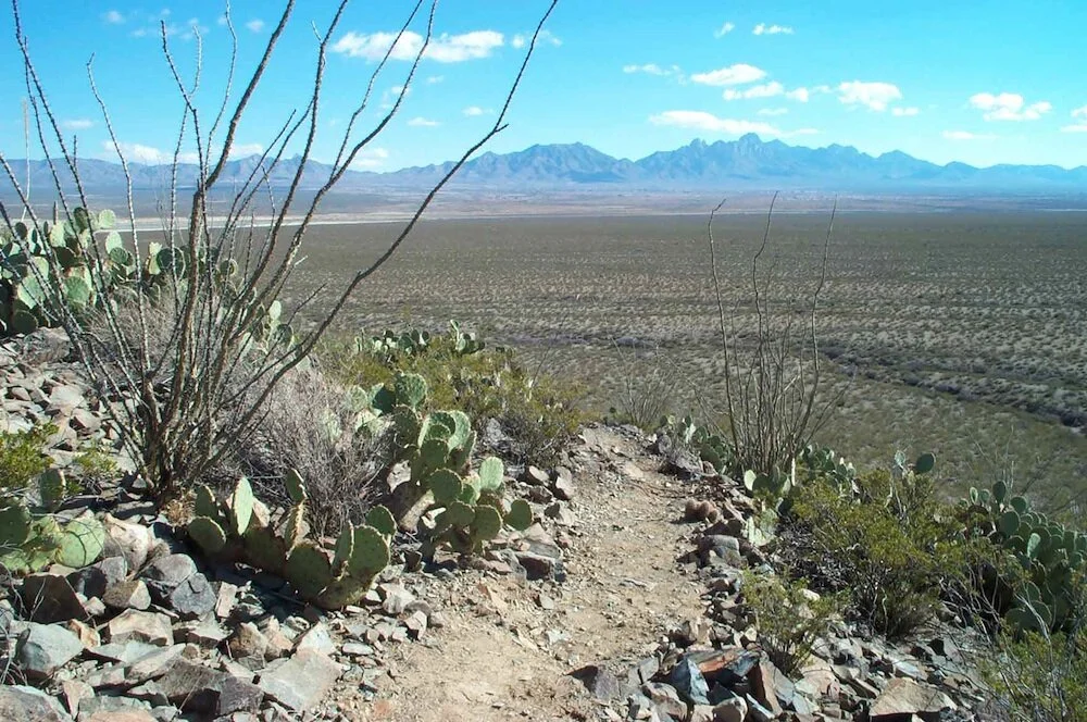 San Augustin mountains behind the Ocotillo, Organ Mountains on the right