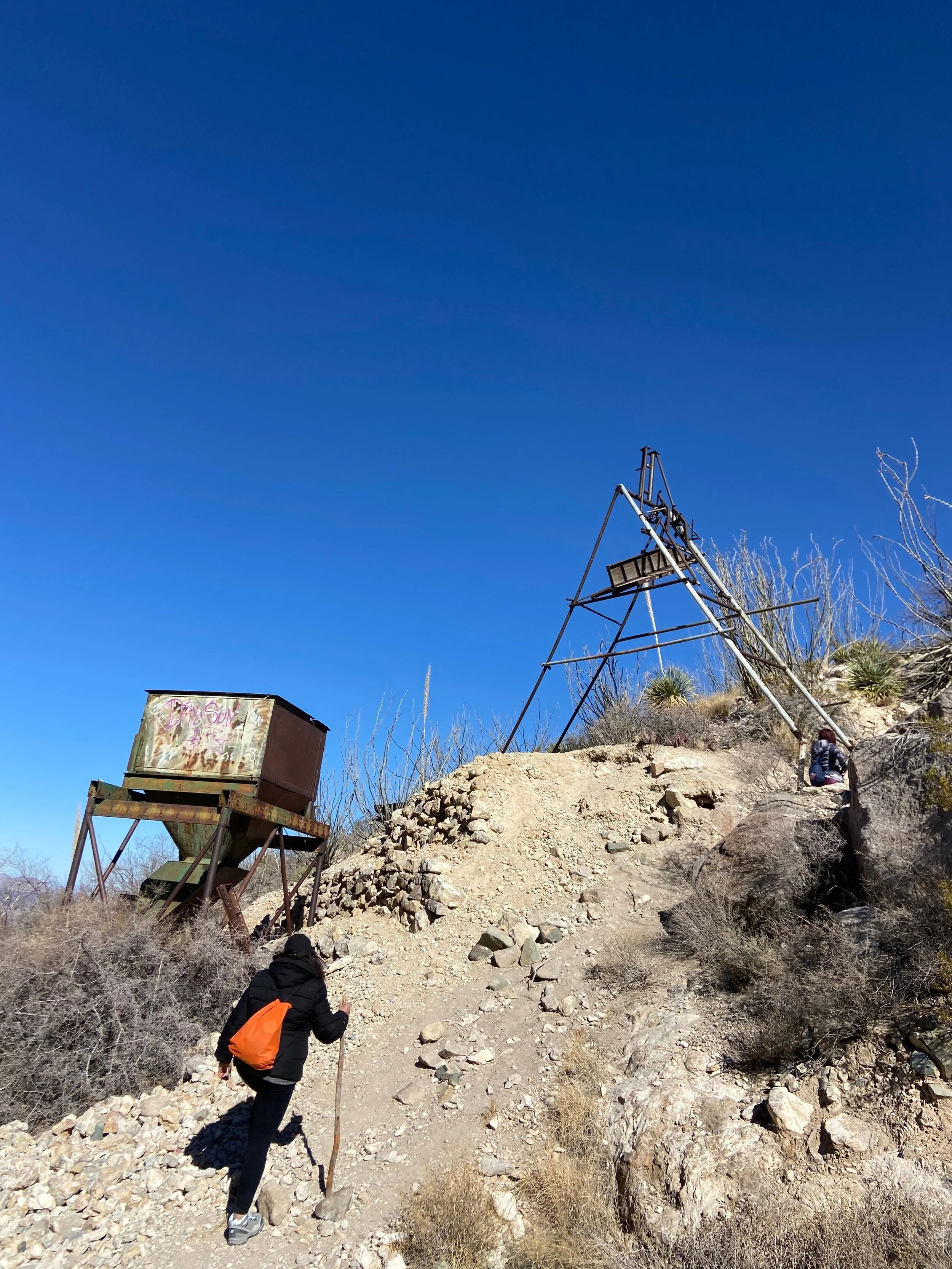 Photo by Cinda Cotham