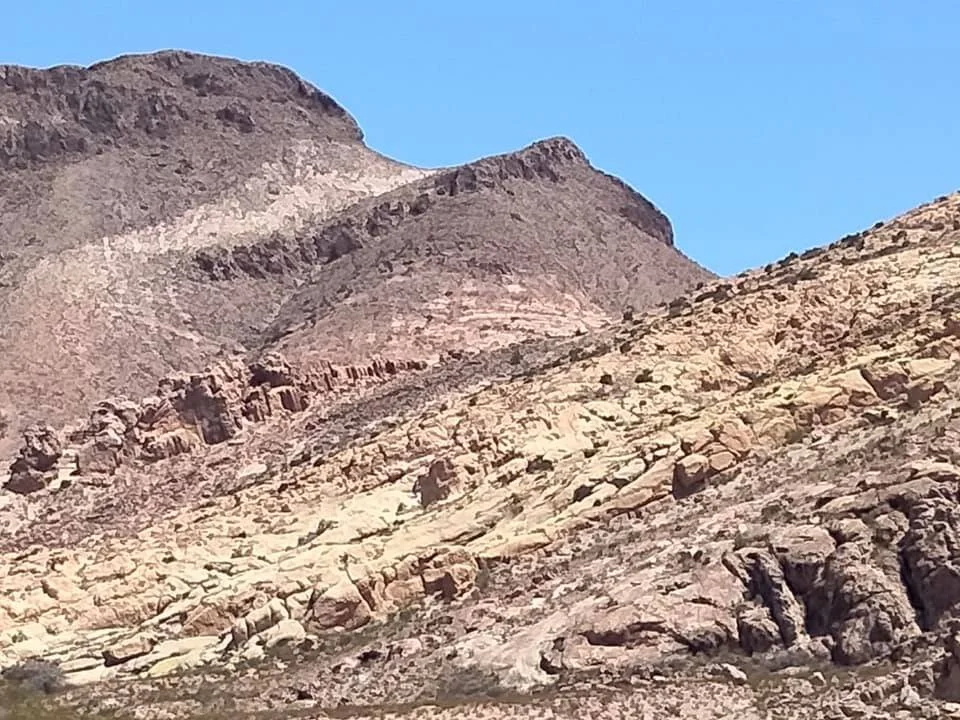 Photo by Patti Carey