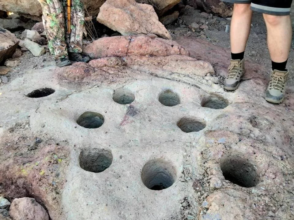 Photo by Patti Carey