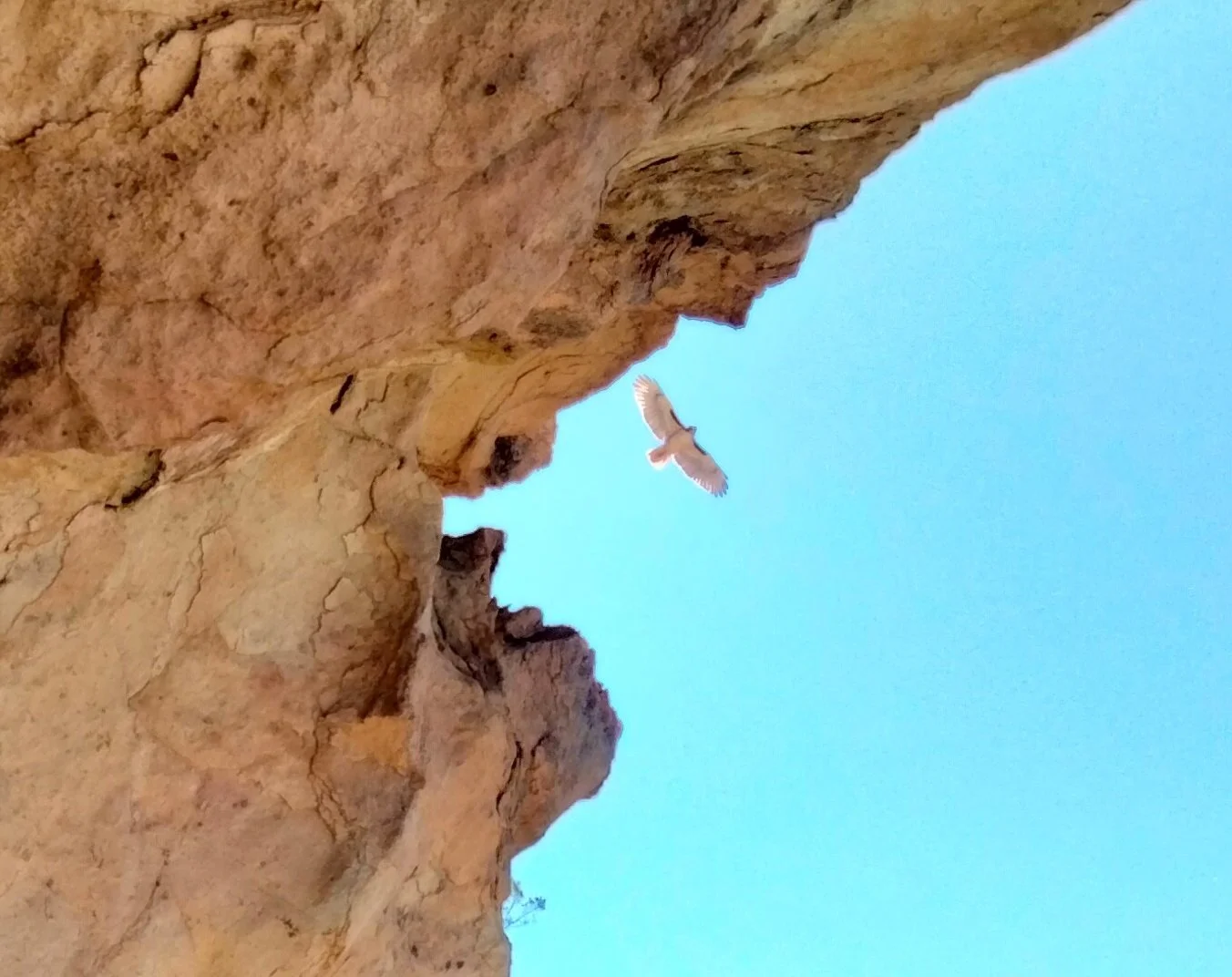 Photo by Patti Carey