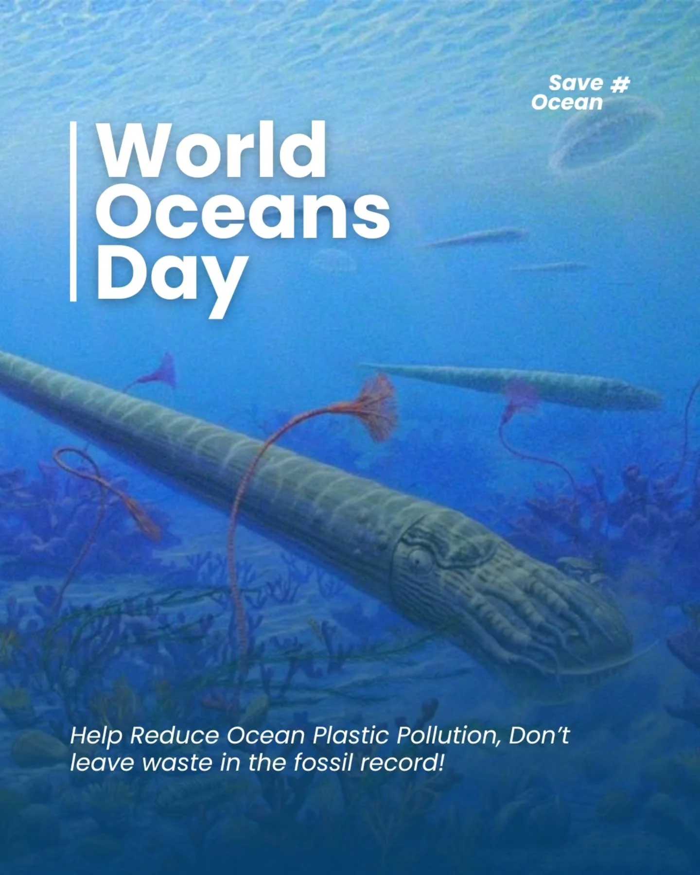 🌊 Happy World Oceans Day! 🌊

It might be hard to imagine while standing in the Chihuahuan Desert, but El Paso was once covered by a shallow tropical sea.

More than 300 million years ago, during the Pennsylvanian and Permian periods, the area that 