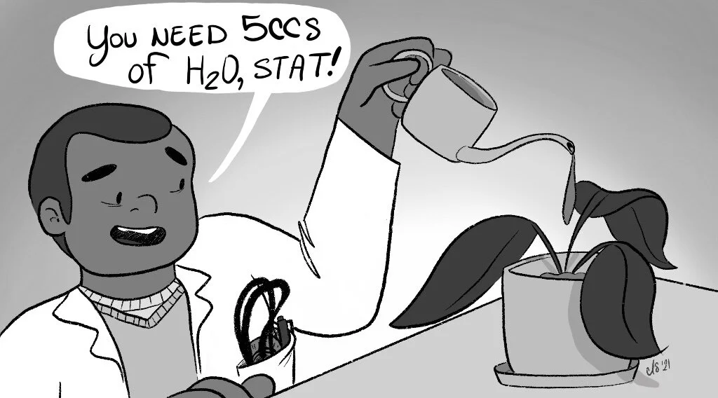 Soliday_OfficePlant_v2.jpg