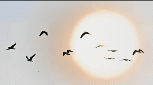 PMSF_Conf_Keynote_CCed_HQ_20260506_19.gif