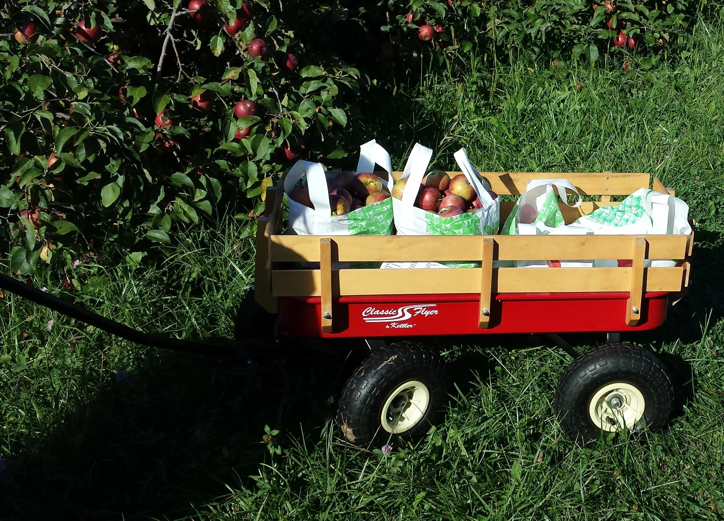 Apples on Oak - An Amazing Family Run Orchard Nearby