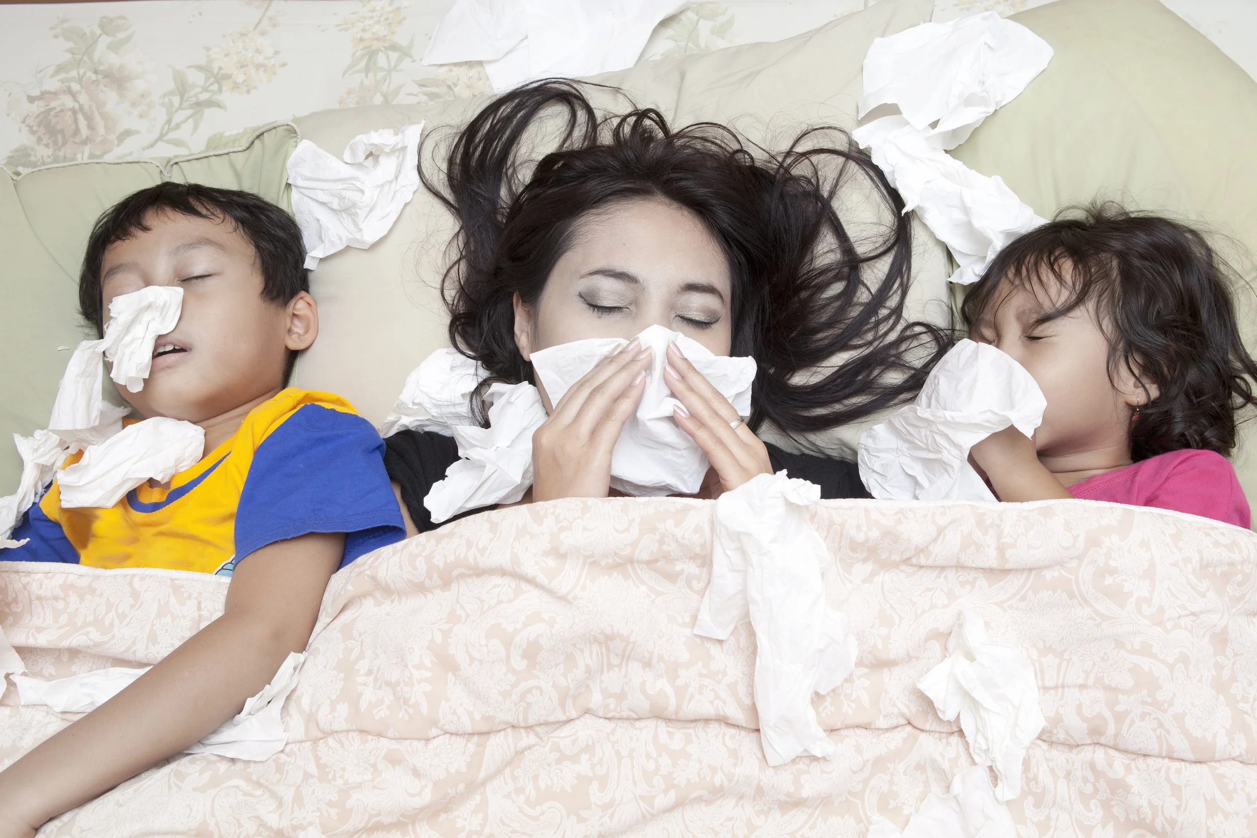 Preventative Immune Health for Cold and Flu Season