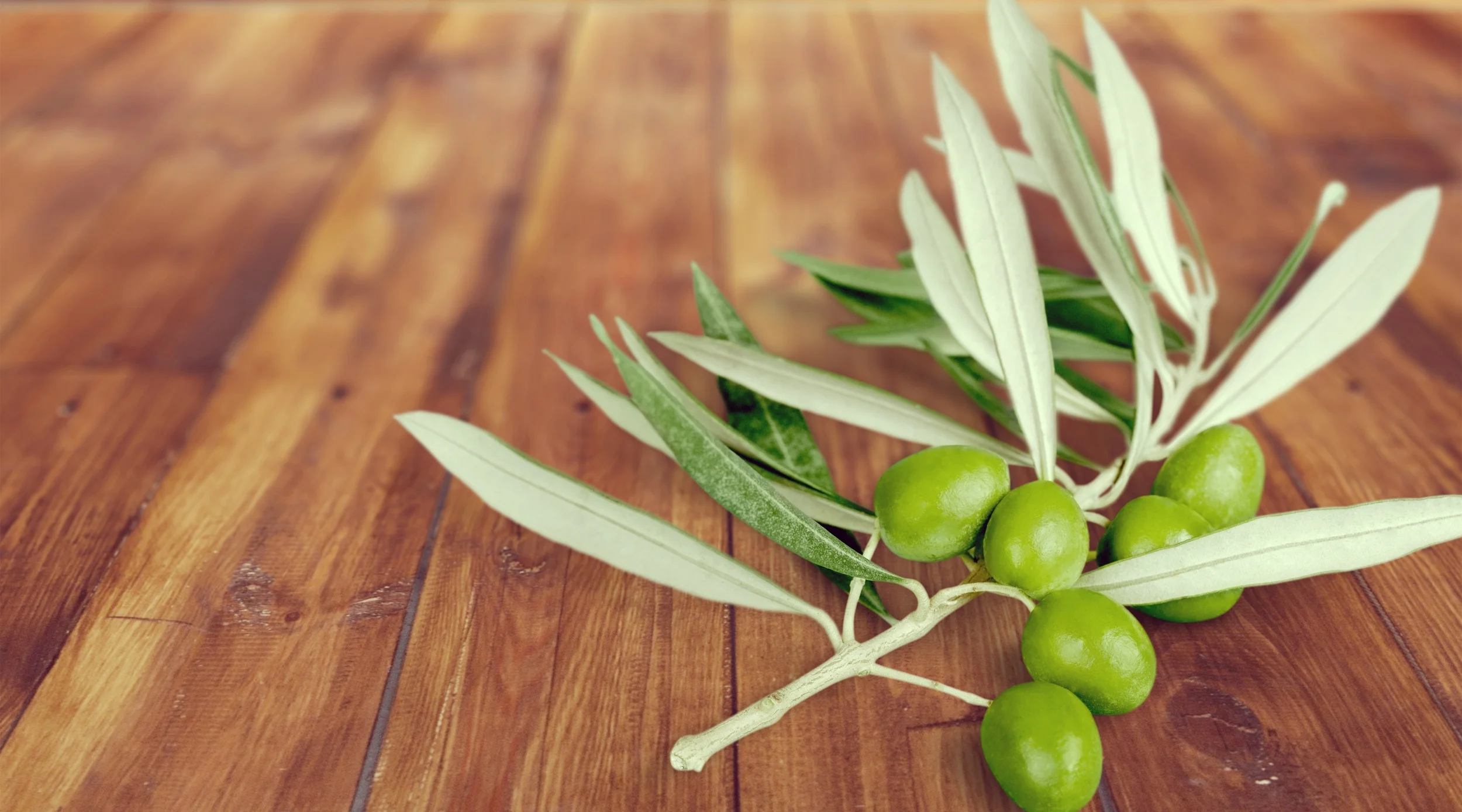 Olive Leaf Extract for Blood Pressure and Immune Health