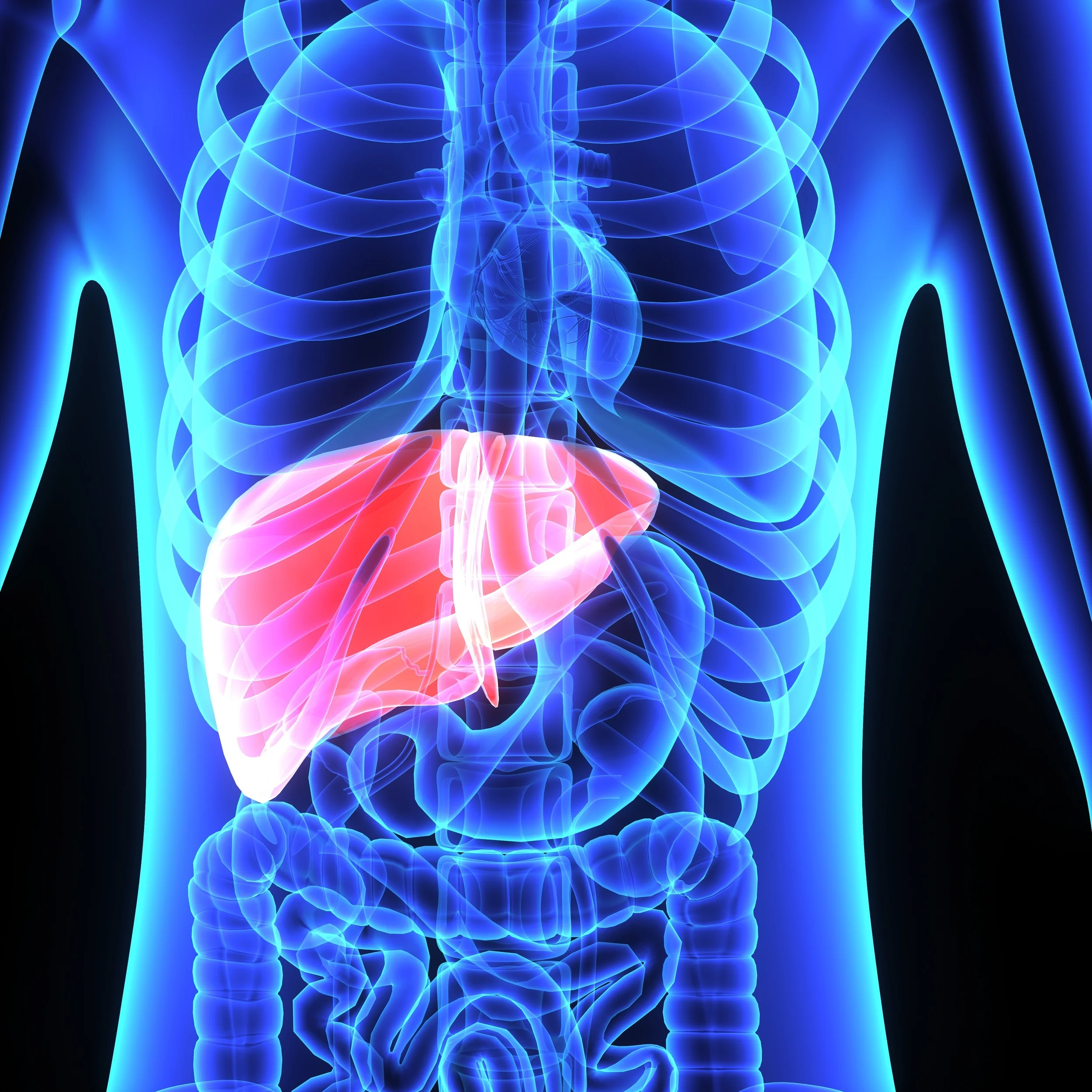 Healthy Q & A: Liver Health and Medications