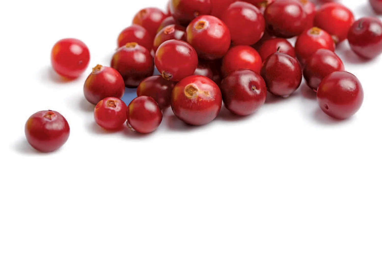 Healthy Q & A: Urinary Tract Infections