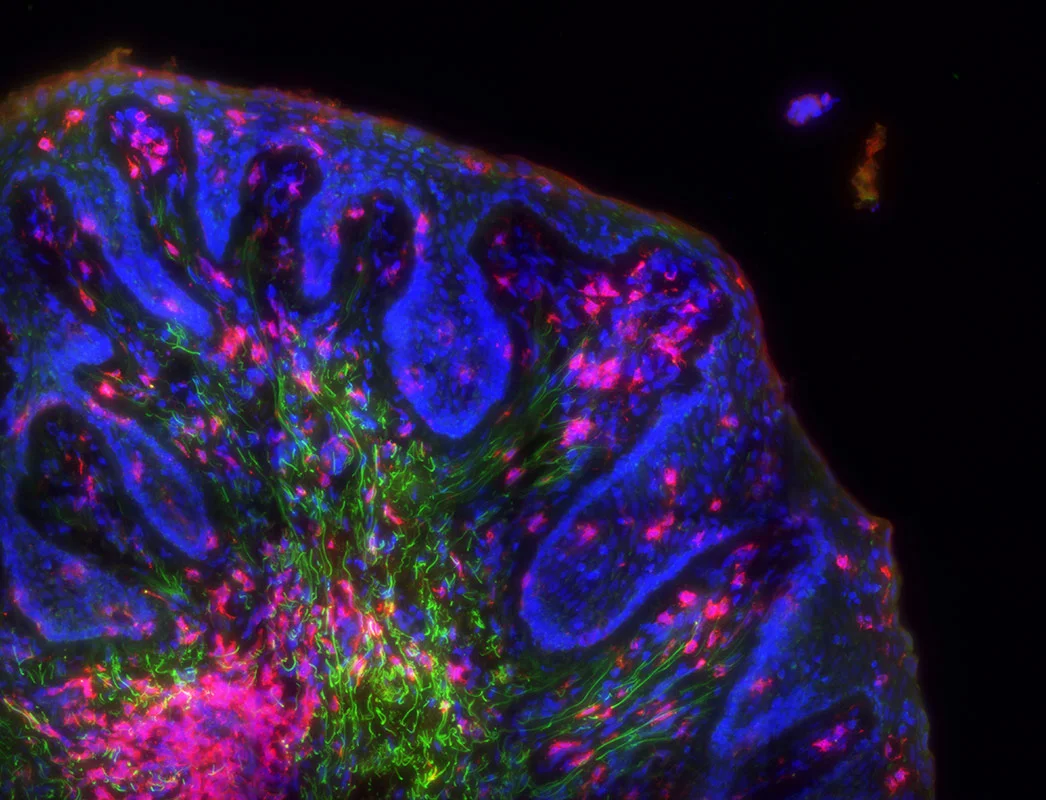 Supplement Spotlight: Increasing Cellular Energy