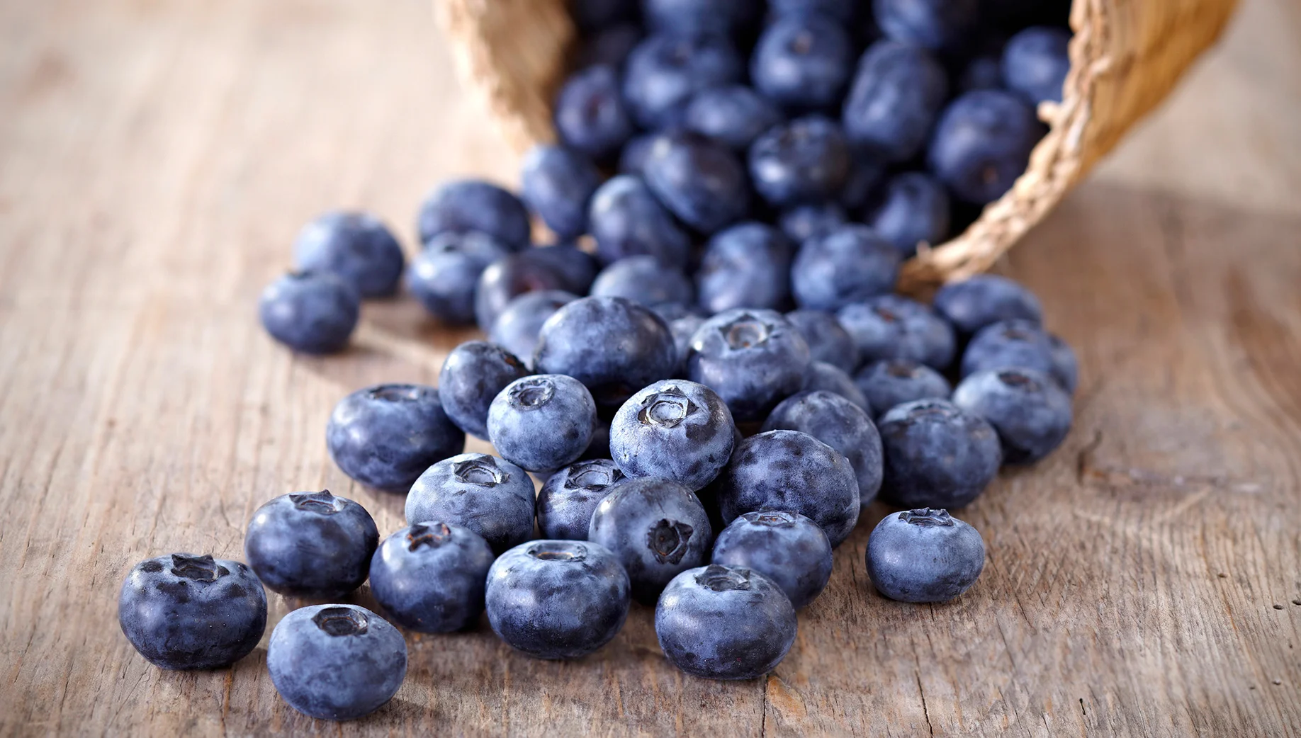 Pterostilbene: The Power of 2,000 Cups of Blueberries