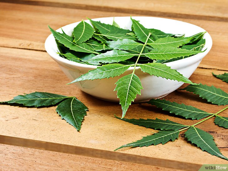 How to Use Neem Oil for Healthy Hair and Scalp — Pass Health Foods