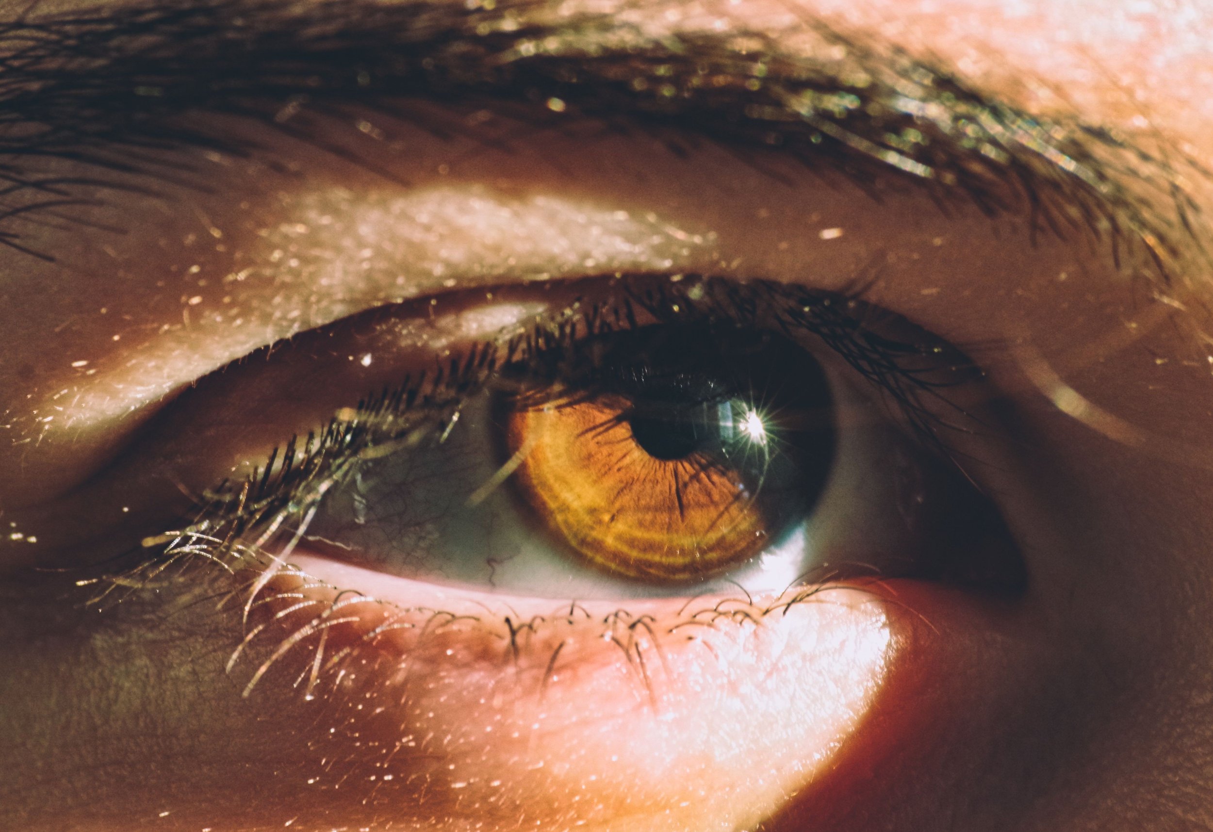 Our New Top Recommended Eye Supplement