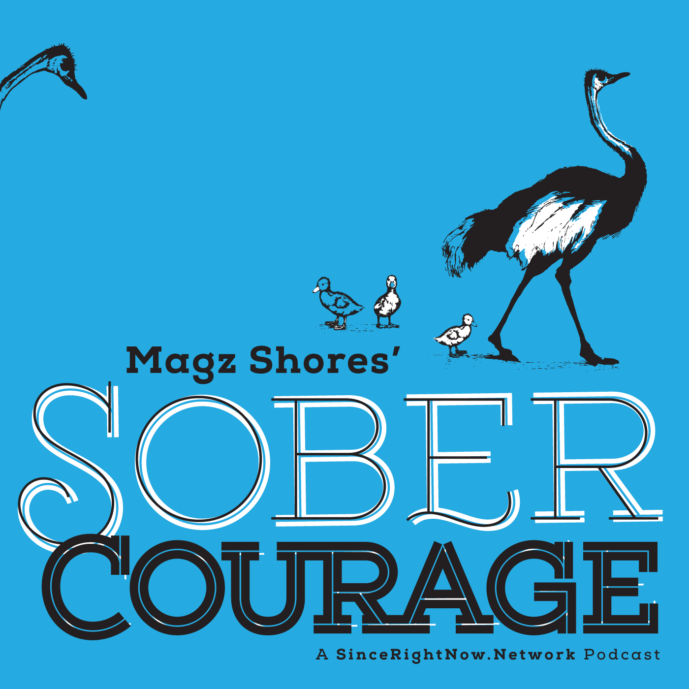 SoberCourage_COVER.png