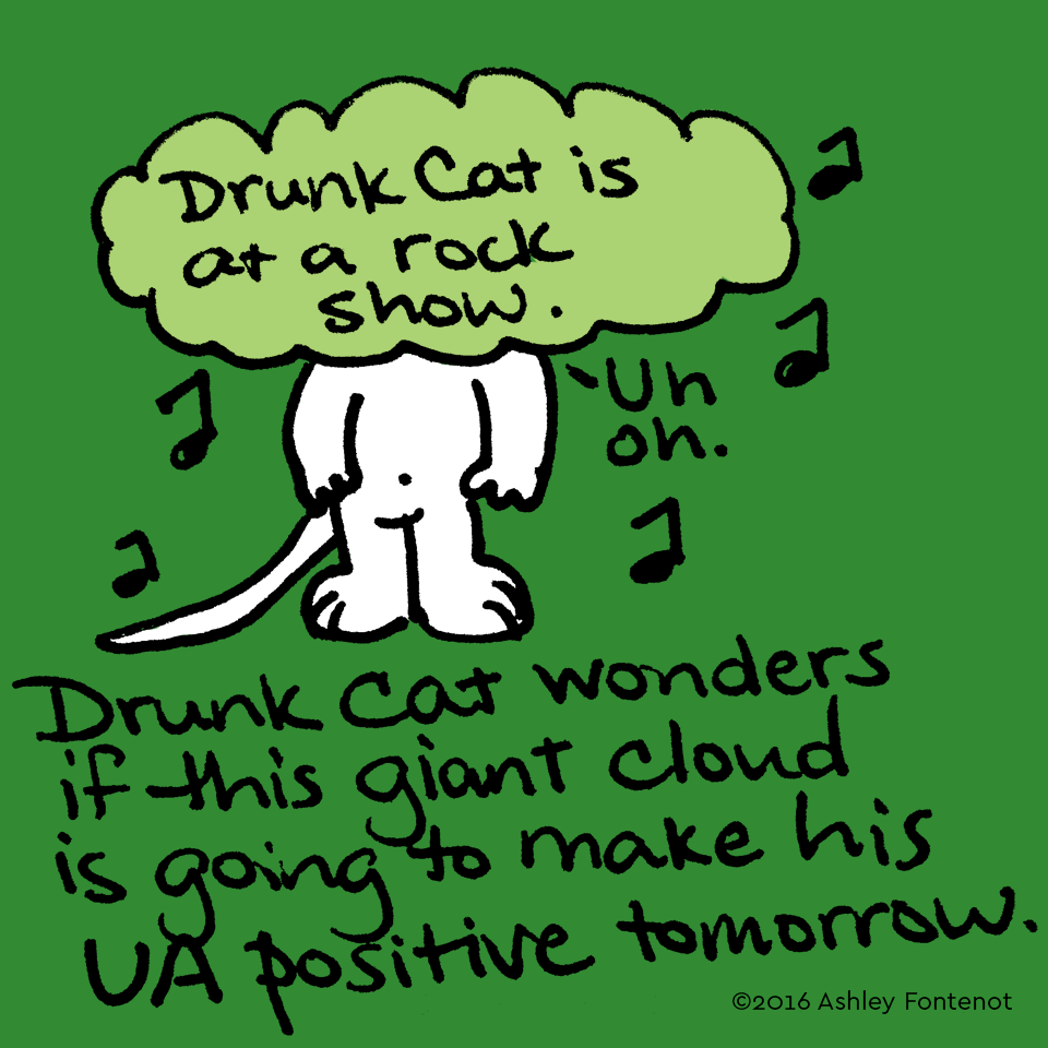 Drunk Cat Has to Drug Test Tomorrow