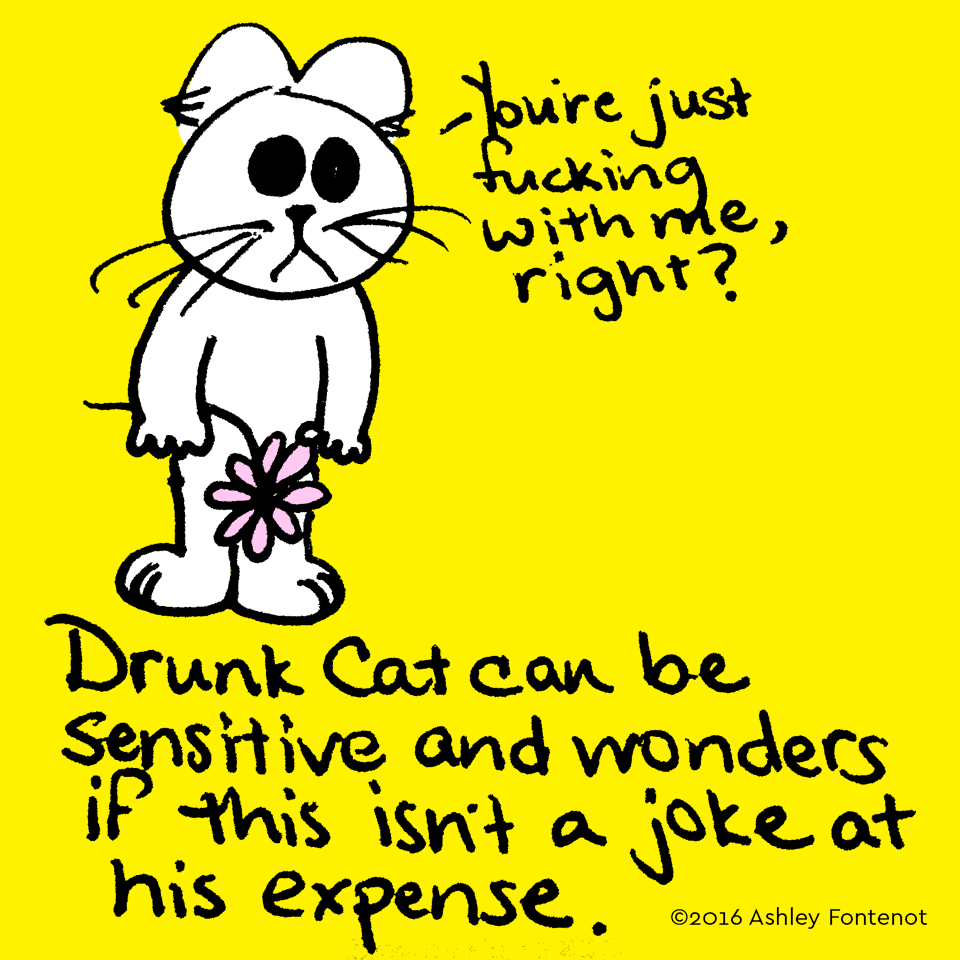 Dear Drunk Cat,