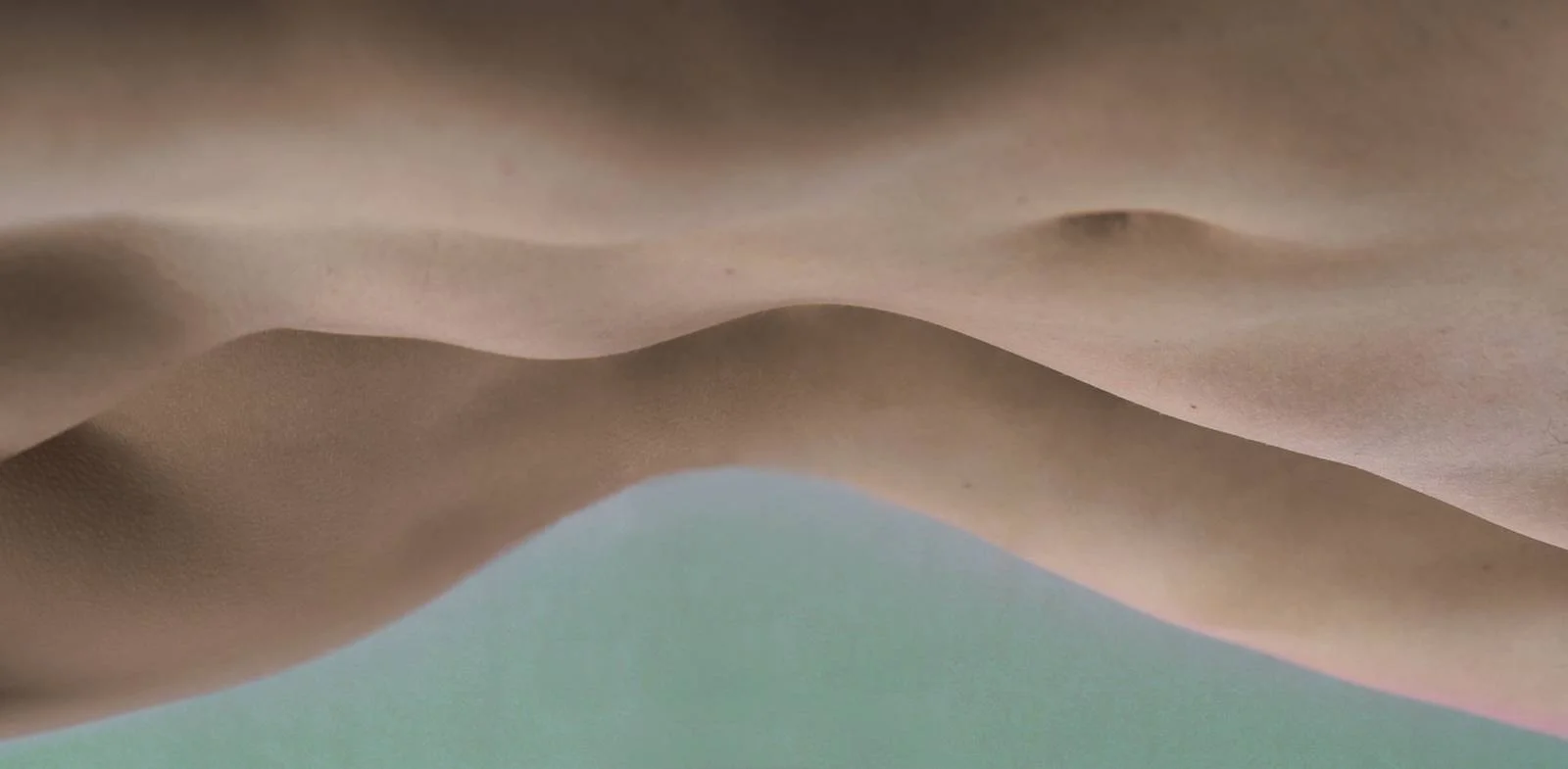 Visuals by Brooke DiDonato