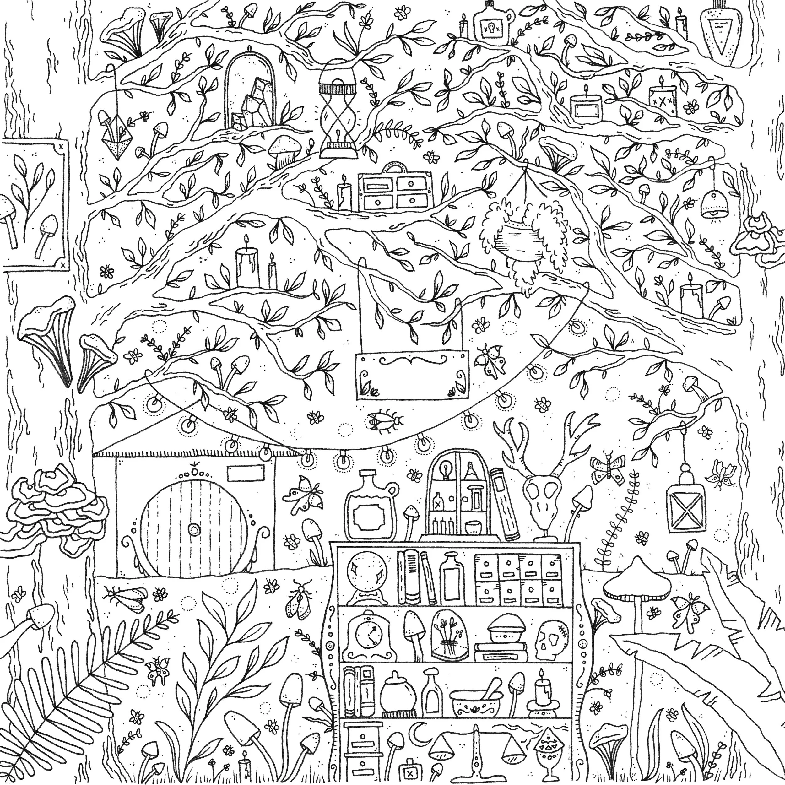 Apothecary Forest.jpg