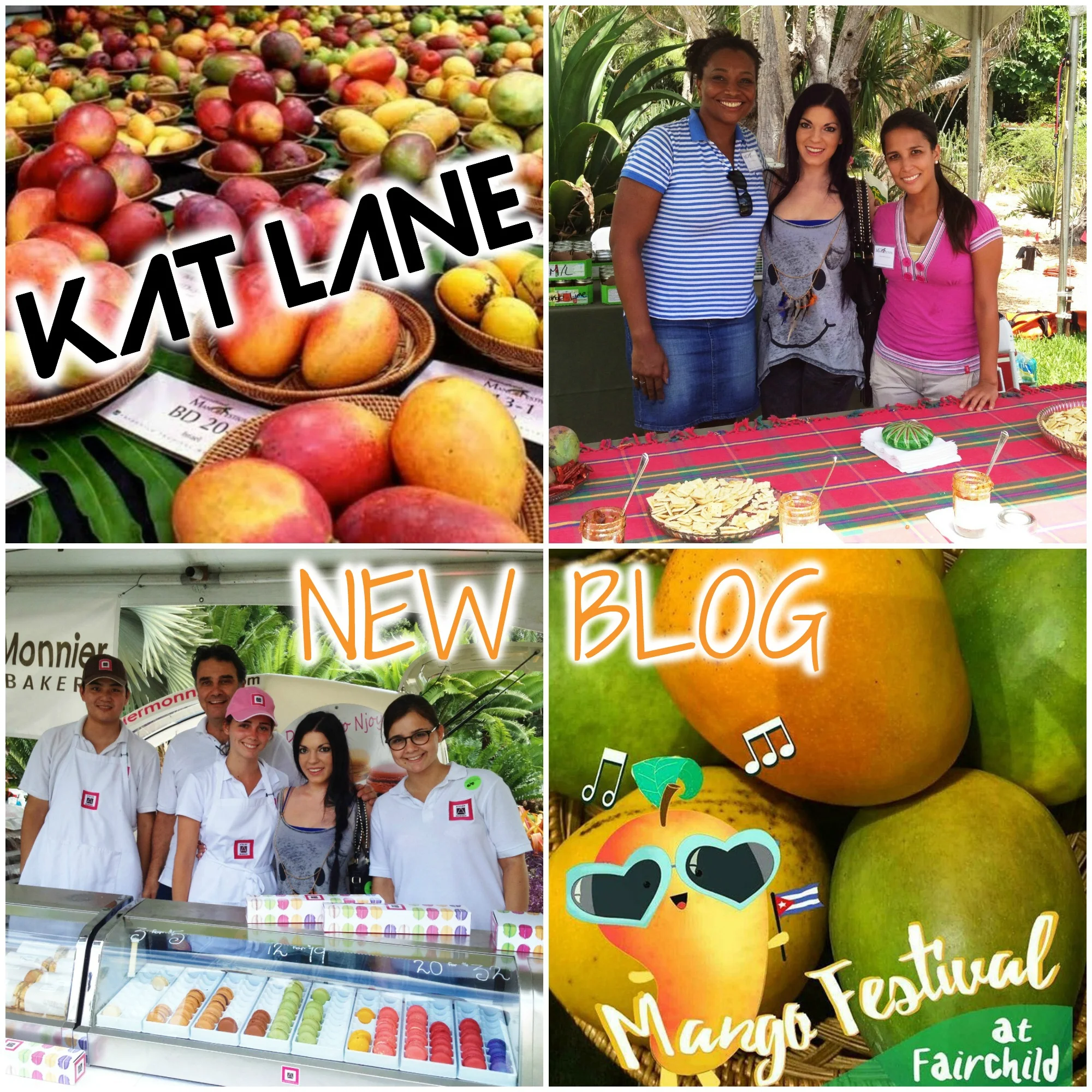 MangoFestIInstaCollage.jpg