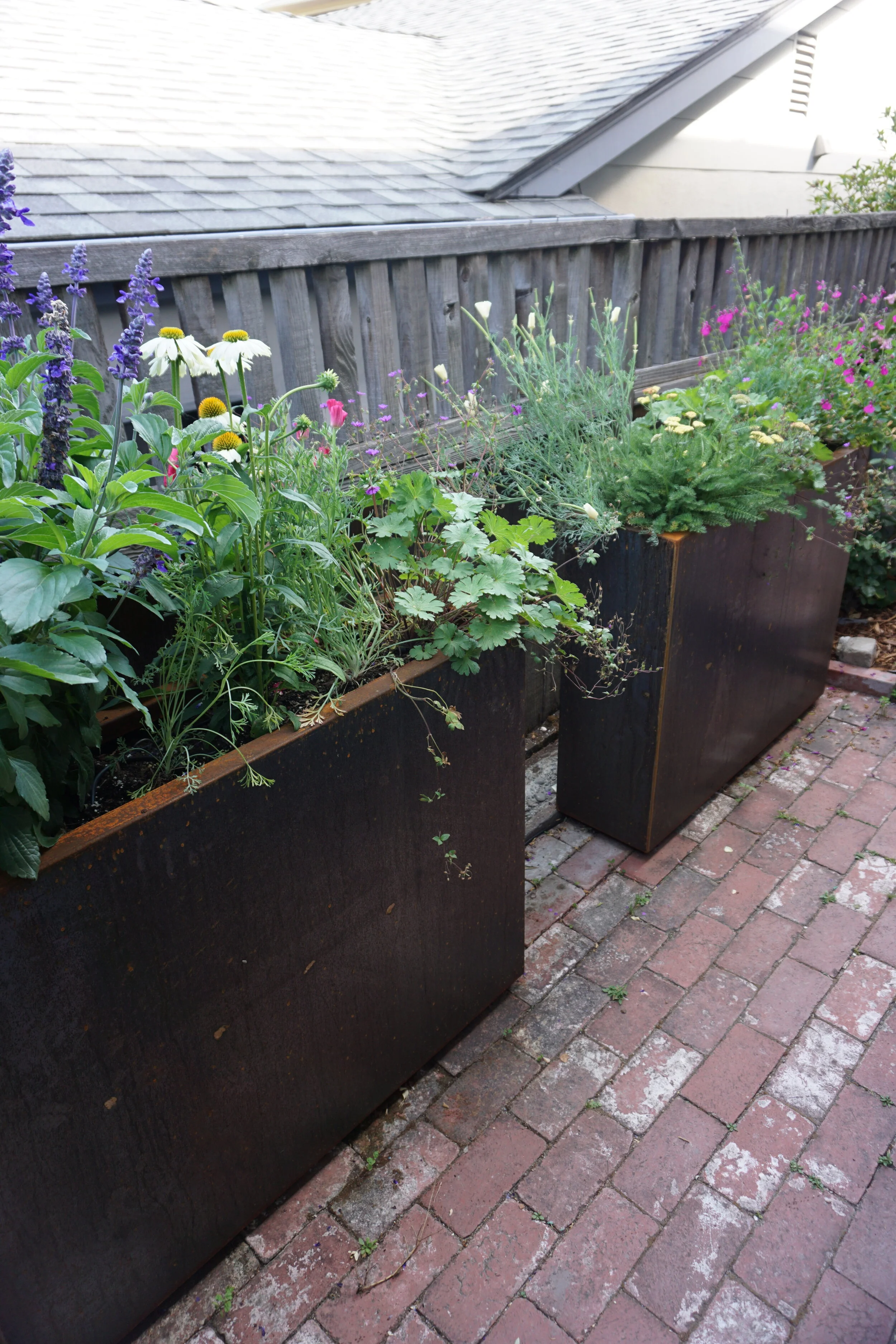 DSC02014.JPG