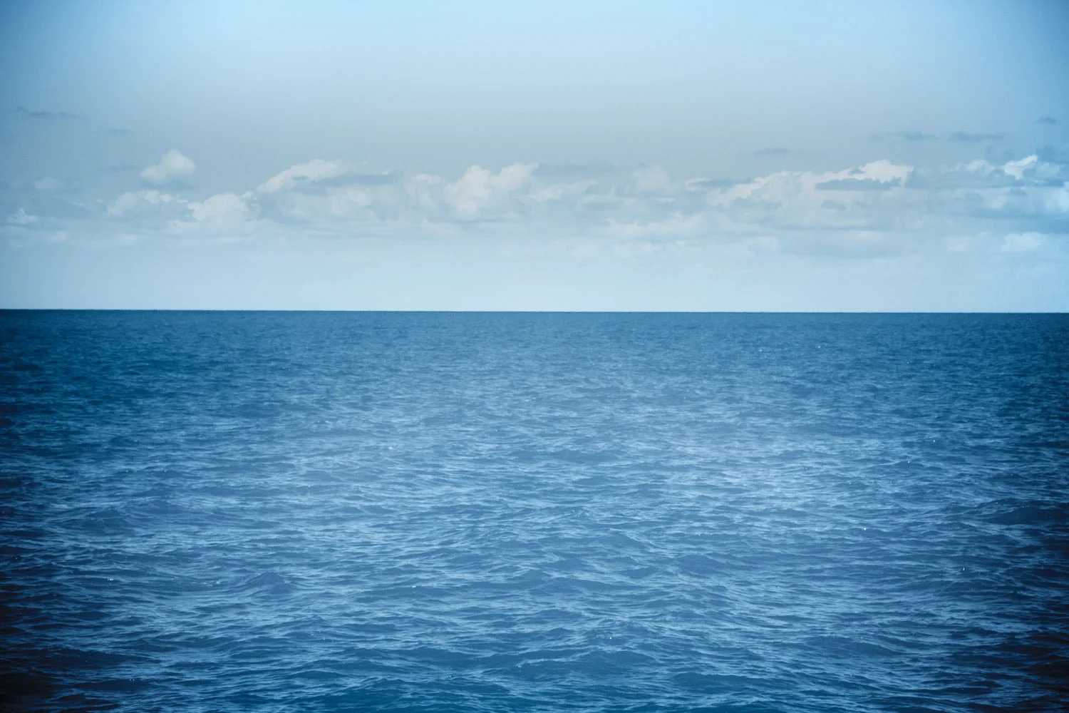 ocean.jpg