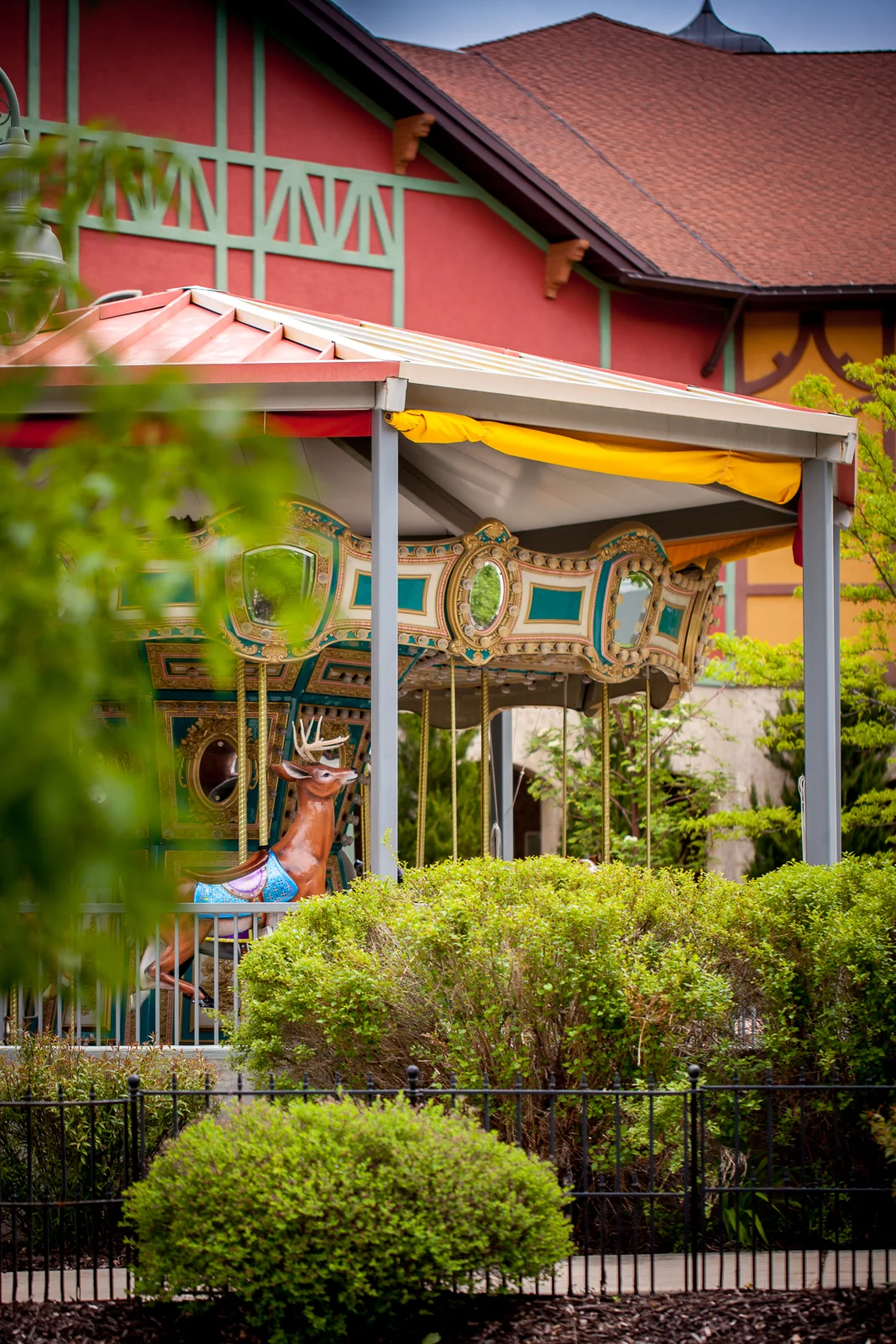 Sarah Galli Photography  (6 of 135).JPG