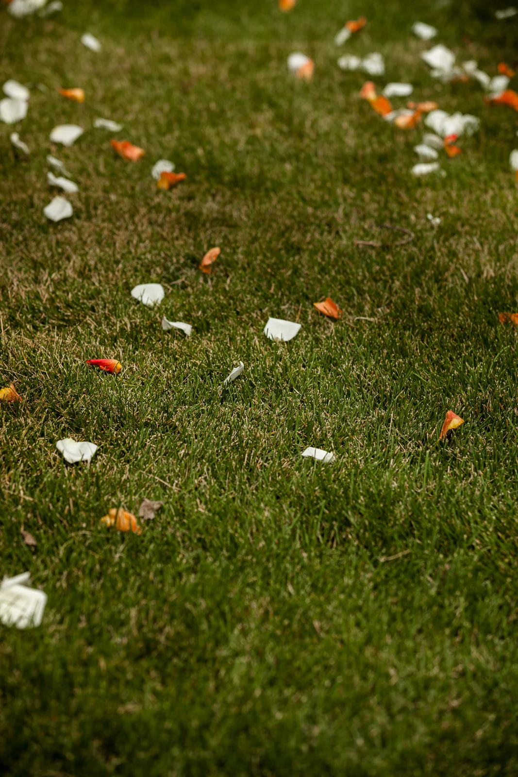 Sarah Galli Photography  (59 of 180).JPG