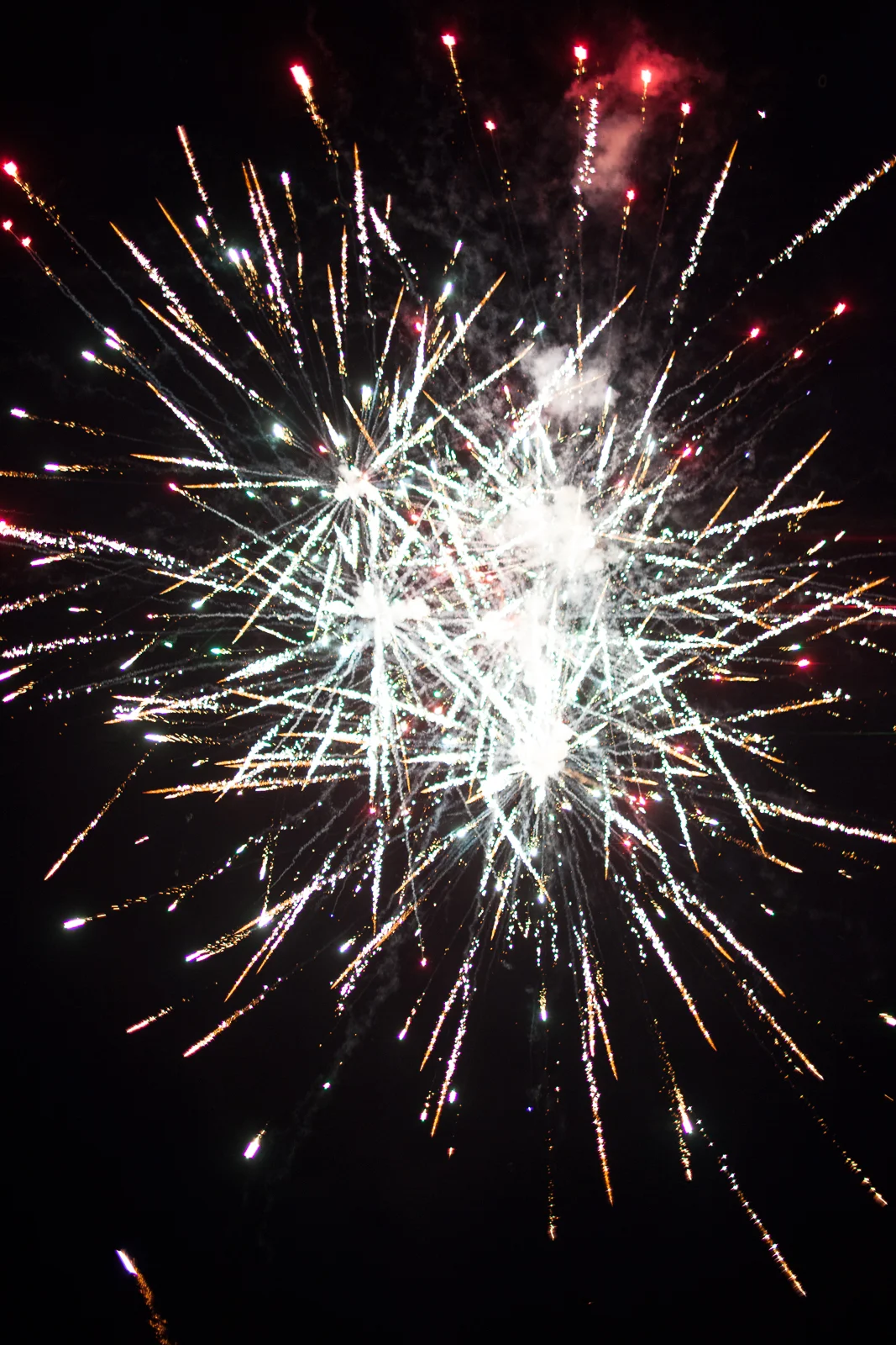 Sarah Galli Photography  (164 of 180).JPG