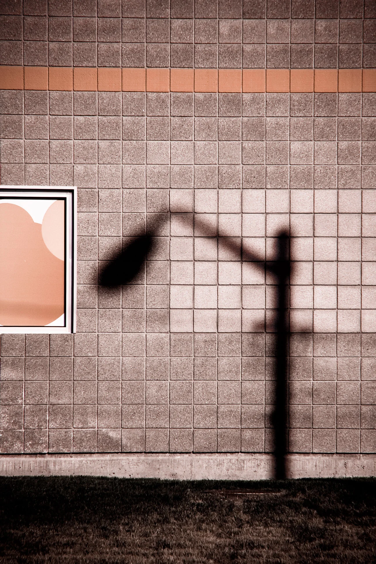 shadow.jpg
