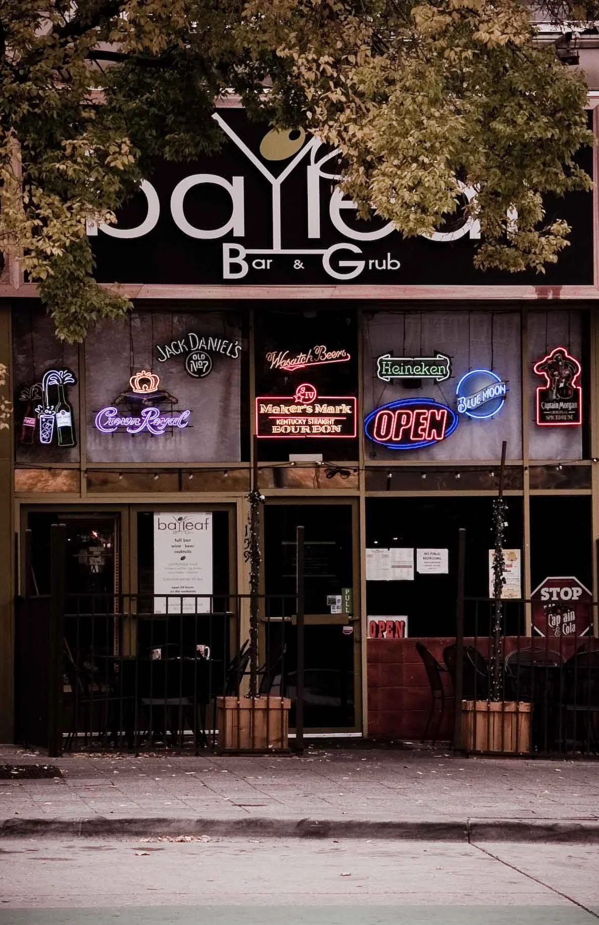 bayleaf_6397912407_o.jpg
