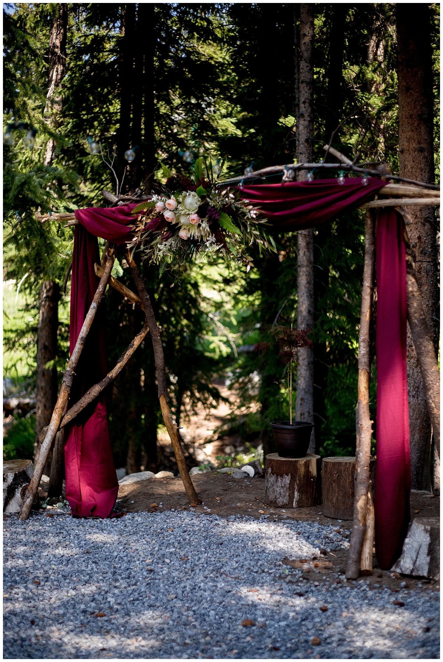 Blog Sarah Galli Graphy