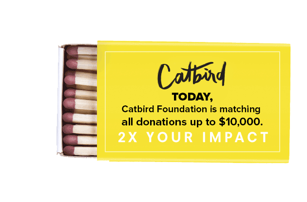 matching-gift-box.catbird.gif