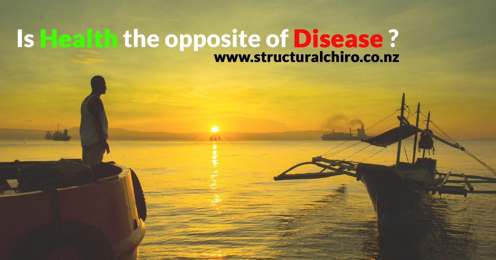 The New Understanding of Health and Disease