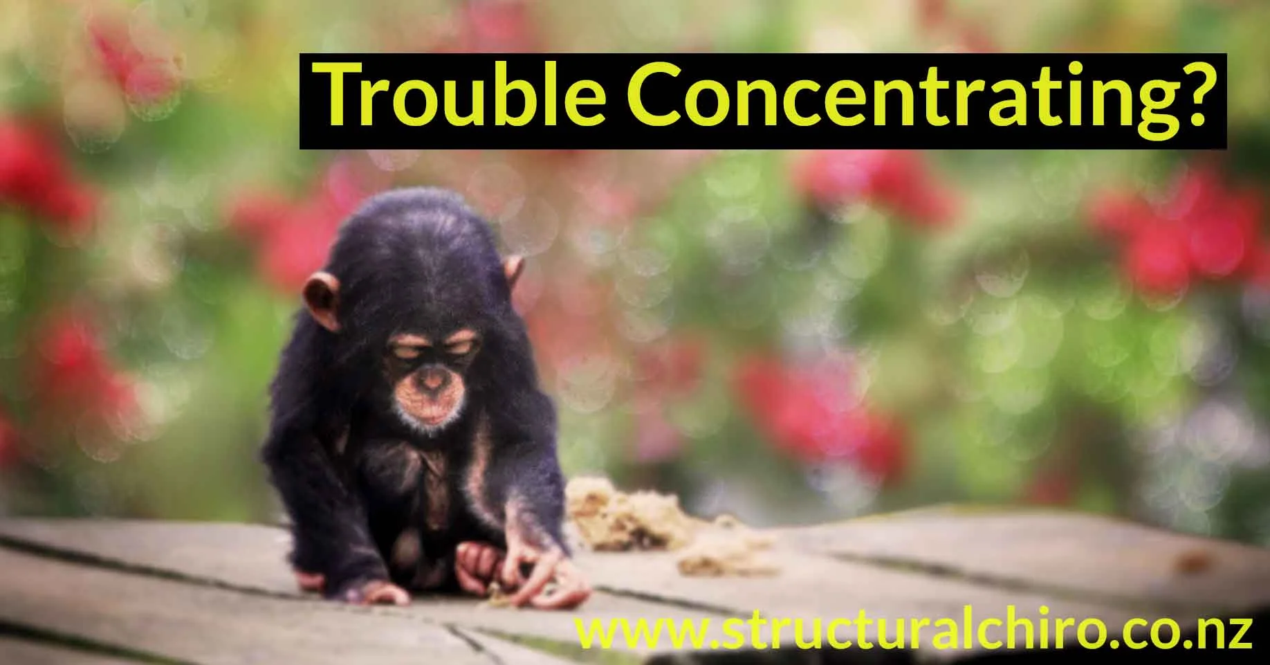 Look after your health to promote Mental Clarity, Concentration and Memory