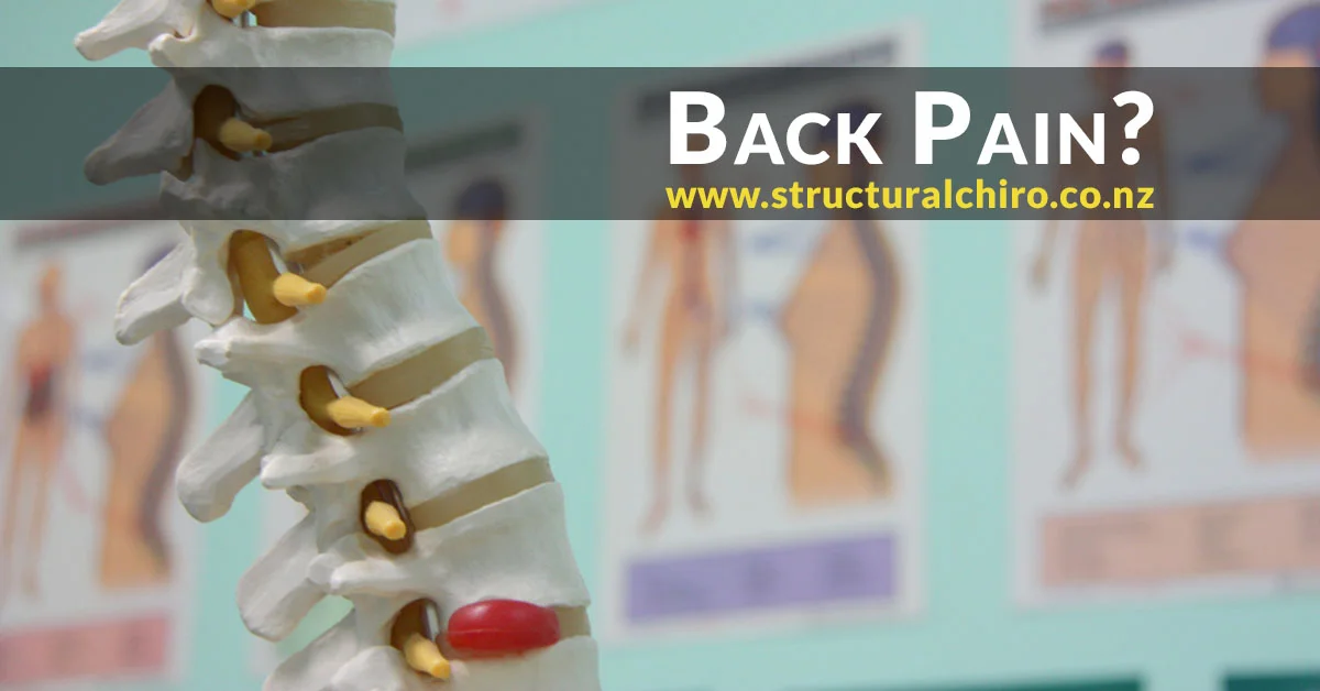 Back Pain