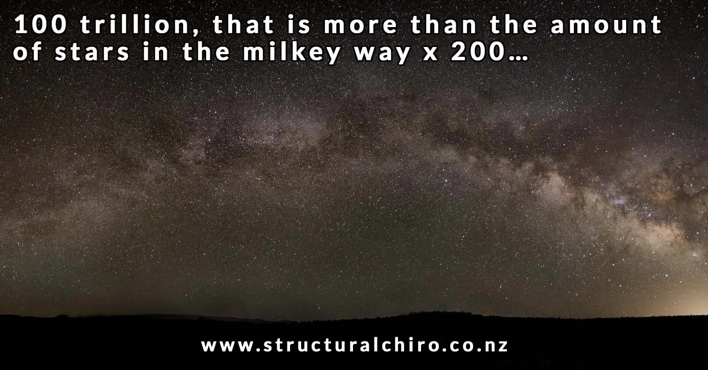 Surprising link between gut bacteria and stress, but probiotics is not a complete solution