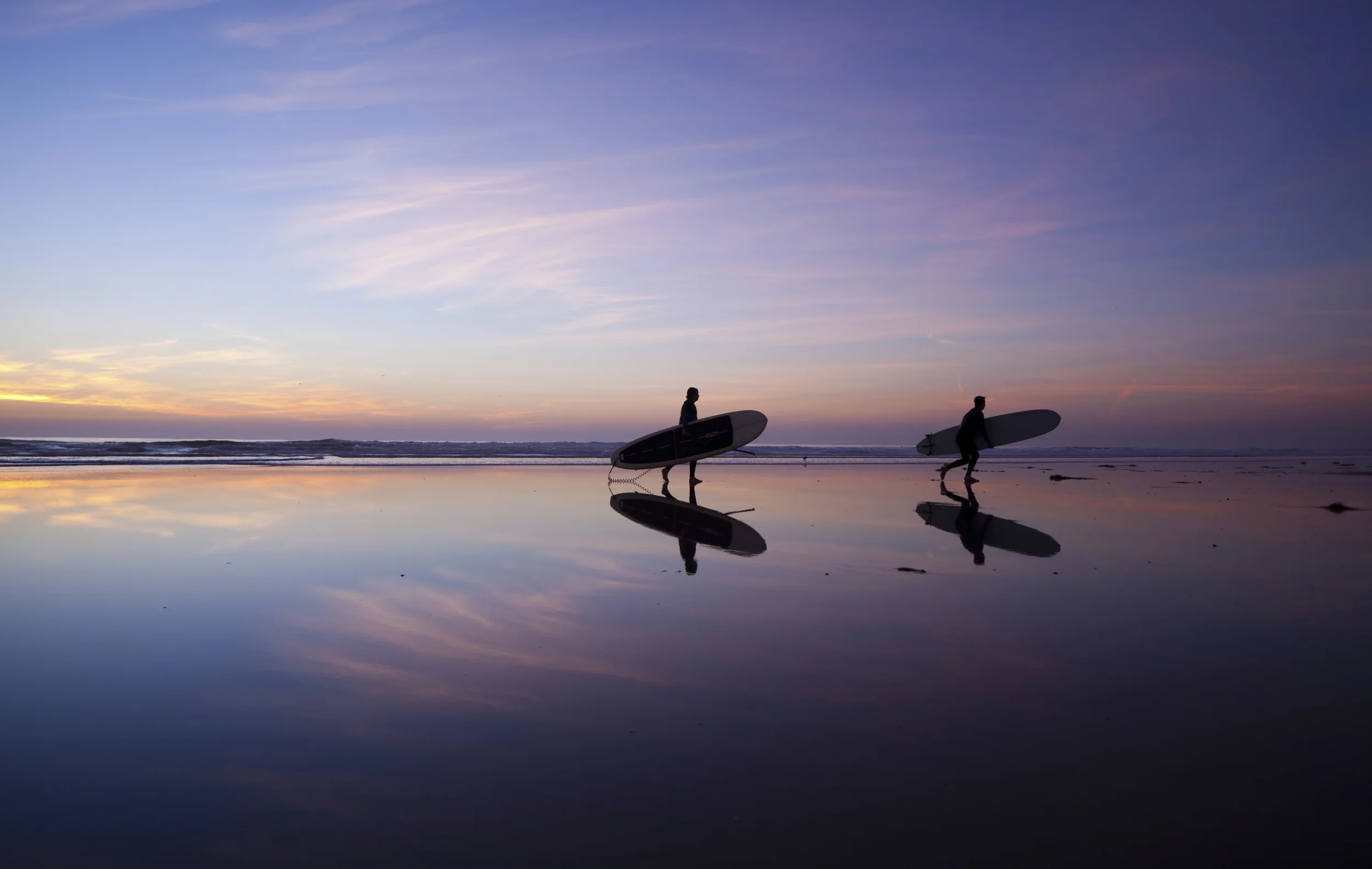 Head To Toe Spinal Show - WORKSHOP