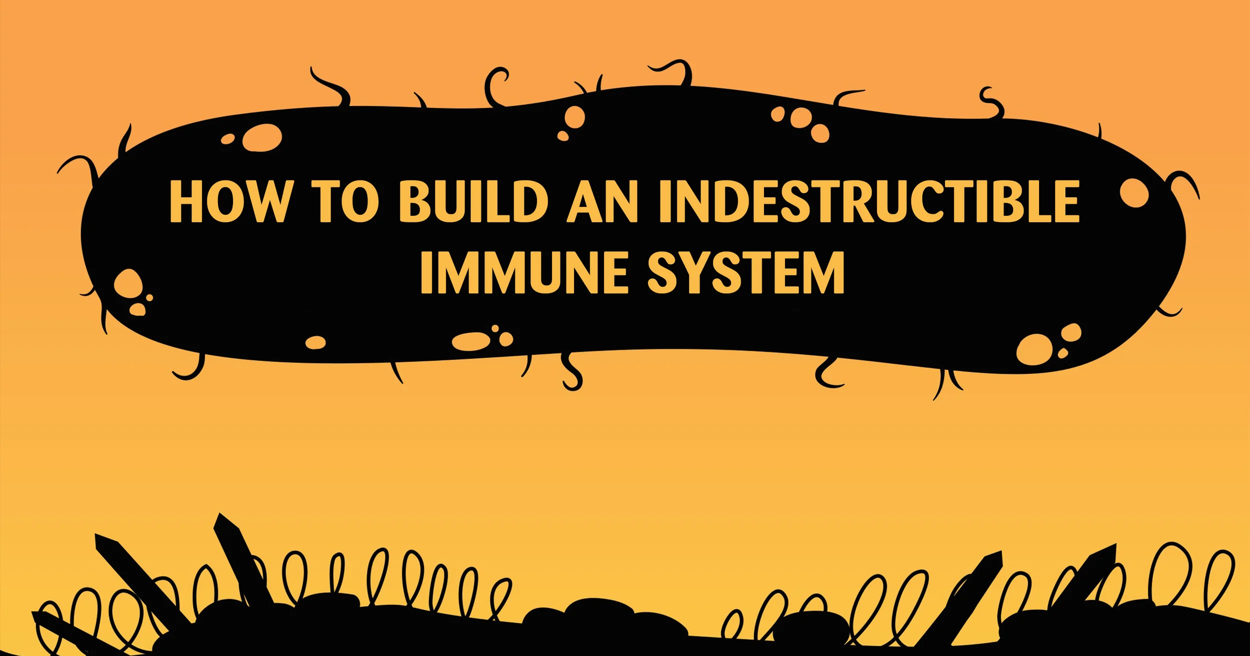 7 Strategies To Build An Indestructible Immune System