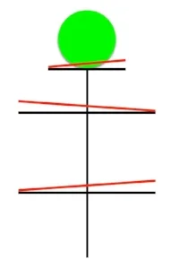Normal Structure - The base of your skull, level of shoulders and pelvis are all level with the ground.