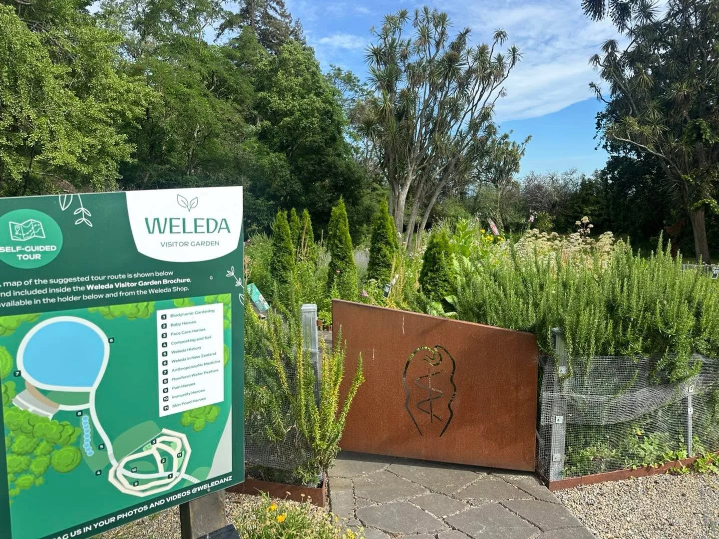 Beautiful day for a Lunch &amp; Learn at Weleda , Havelock North&rsquo;s best kept secret.