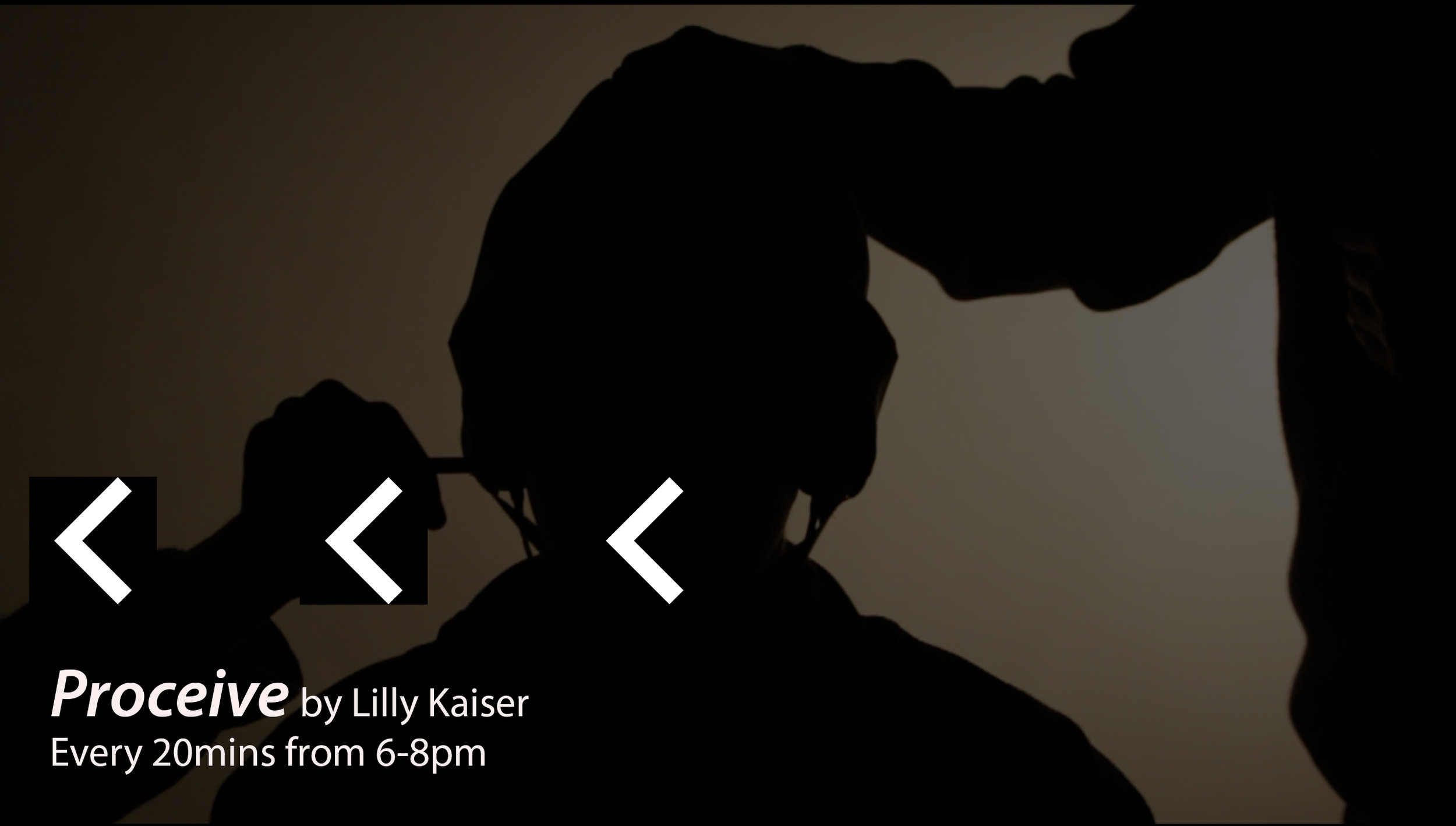 PROCEIVE by lilly kaiser.jpg