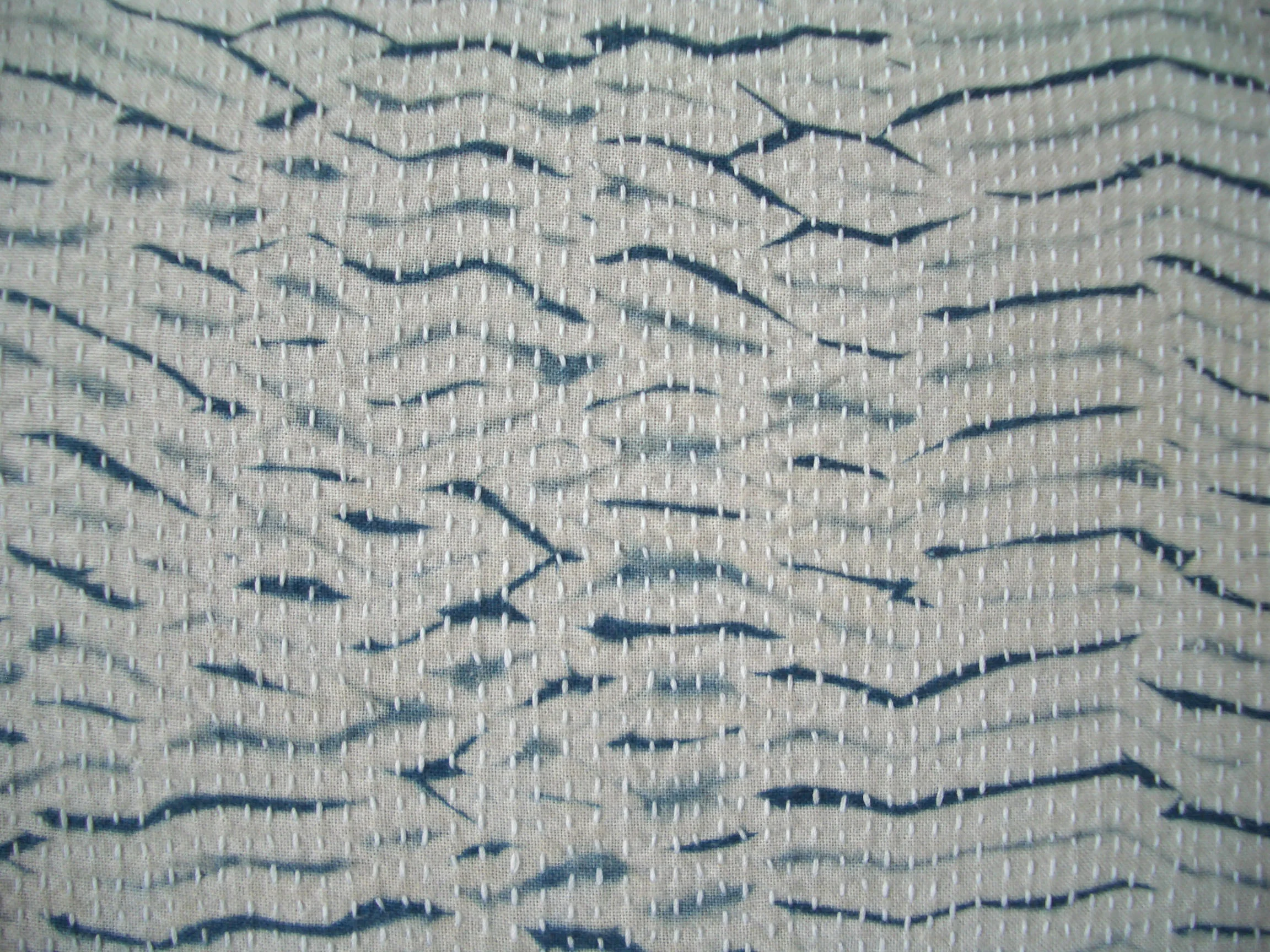 closeup1.jpg