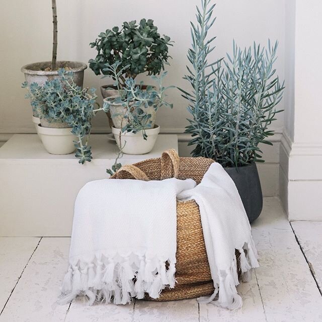 Our hand-woven terry towels are made of soft organic cotton and are woven on traditional looms in South India. ⠀⠀⠀⠀⠀⠀⠀⠀⠀
The word 'terry' derives from the french word tirer, which means to 'pull out', and refers to the loops of thread that are pulled