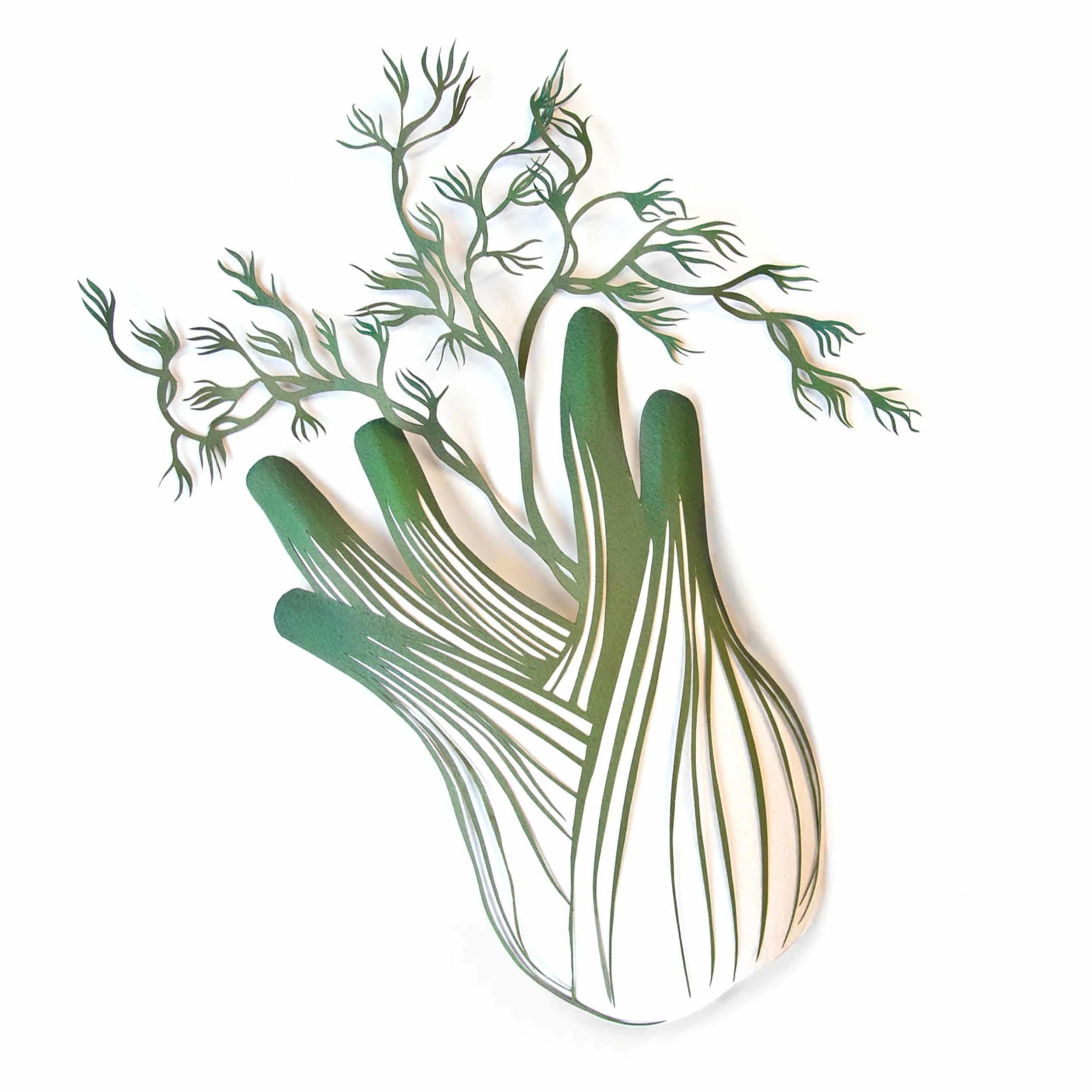 fennel_1.jpg