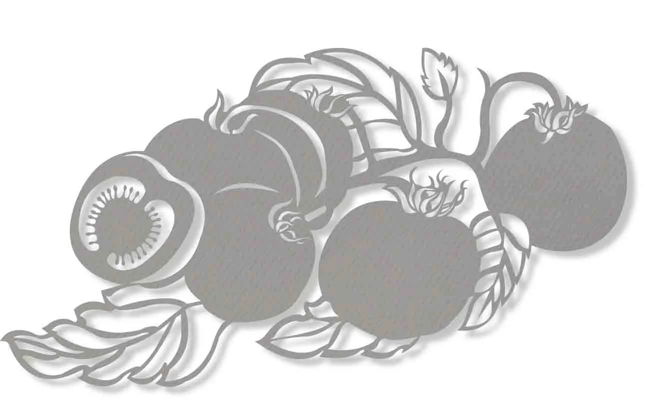 5)Basilgrowing.jpg
